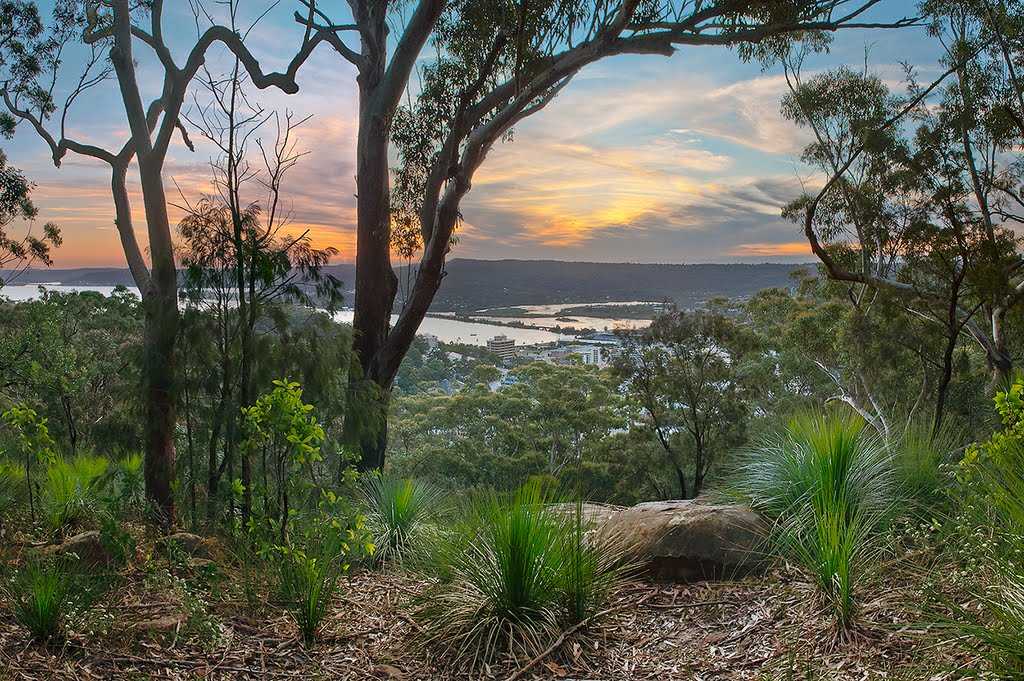 Rumbalara - Central Coast NSW